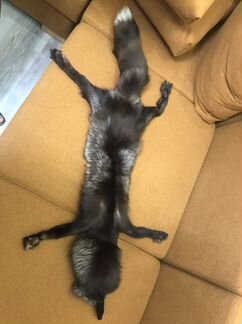 Лисья шкура чернобурая